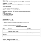 Energy Flow Through An Ecosystem Worksheet Worksheet List