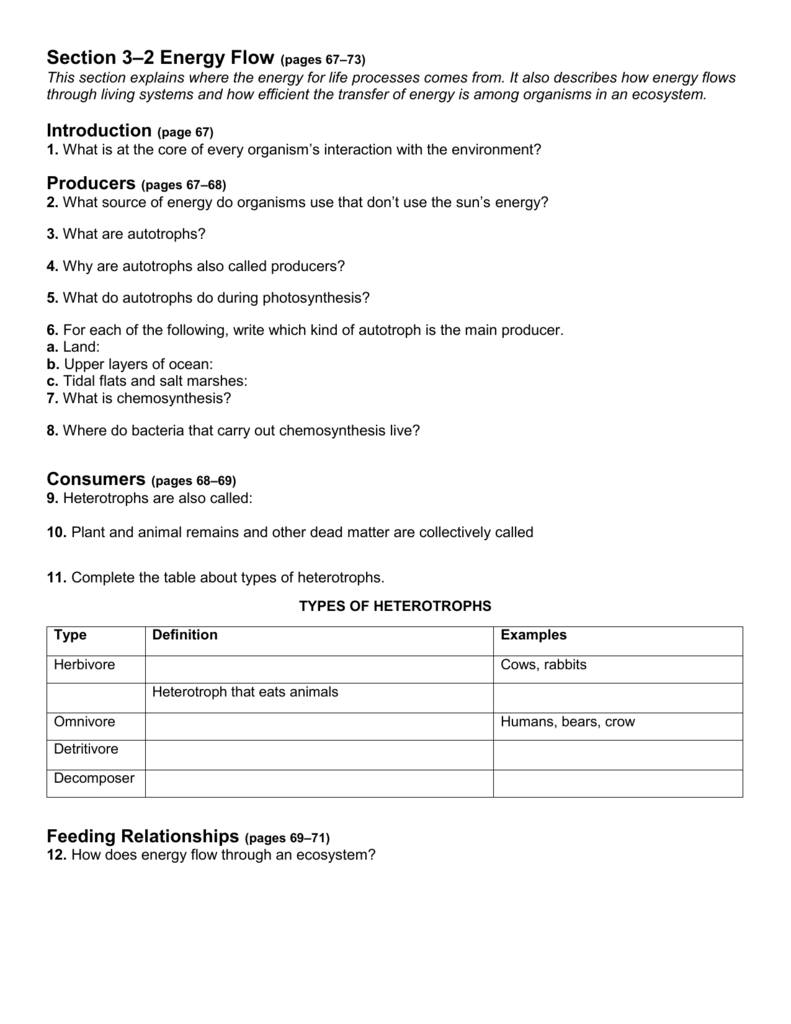 Energy Flow Through An Ecosystem Worksheet Worksheet List