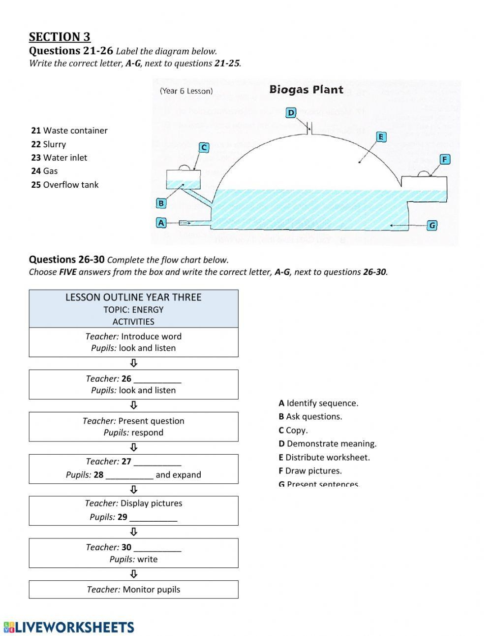 Energy Flow Worksheet Answers Worksheet