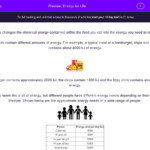 Energy For Life Worksheet EdPlace