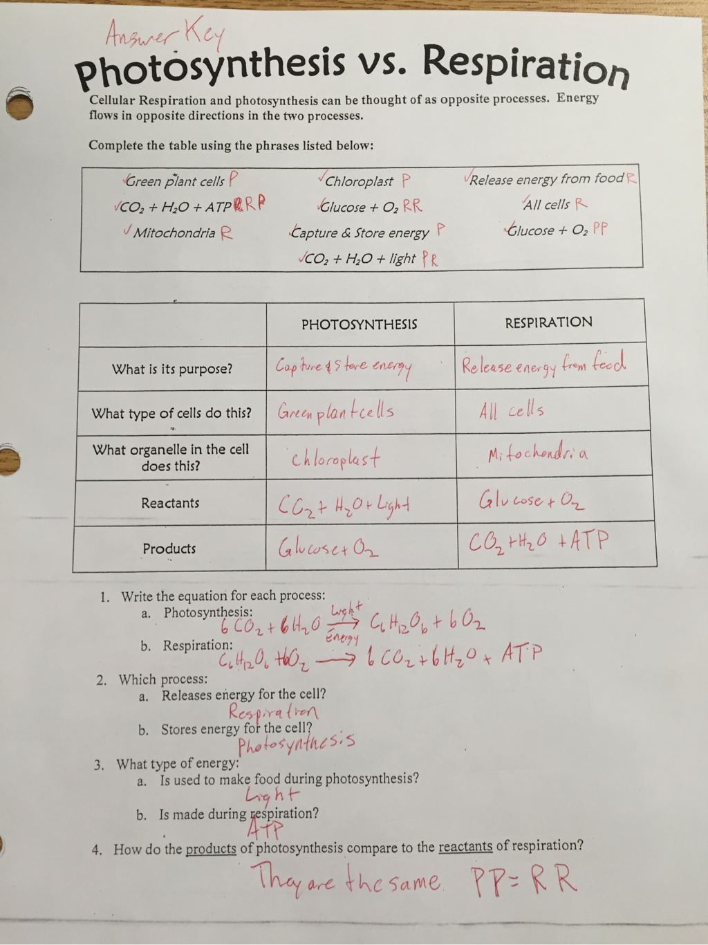 Energy Ms Anderson s Biology Class