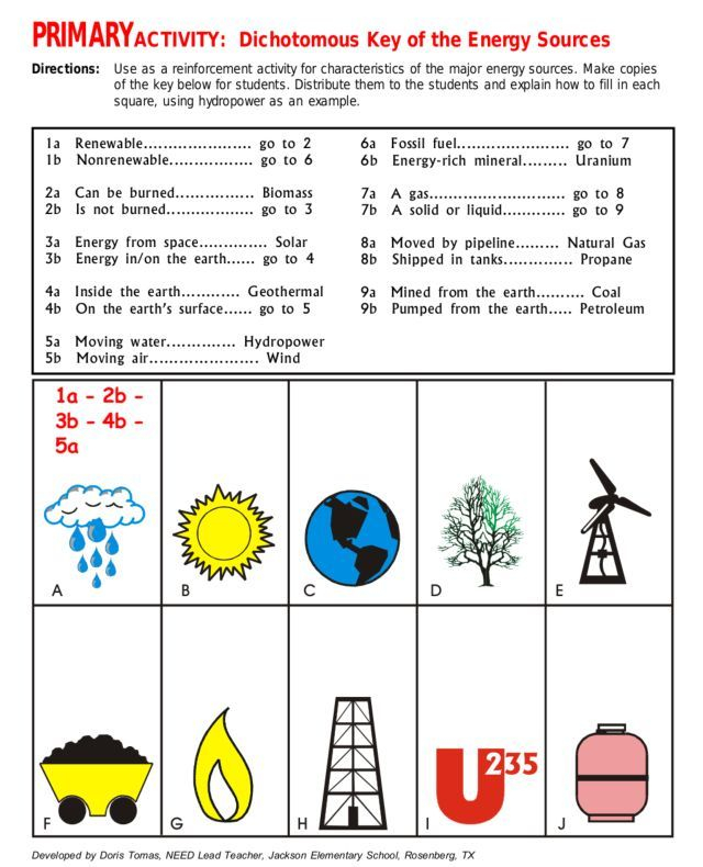 Energy Resources Graphs Worksheets Google Search Dichotomous Key 