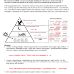 Energy Through An Ecosystem Worksheet Answer Key Db excel