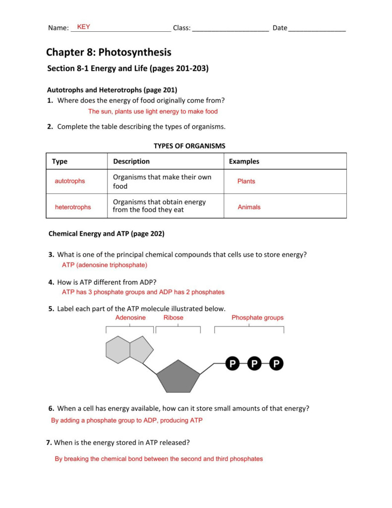 Energy Worksheets Grade 5