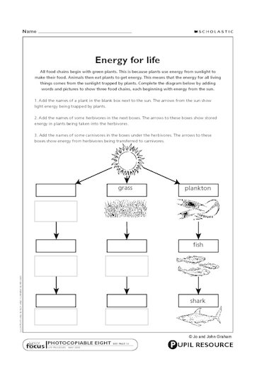 Food Chains Energy For Life Primary KS2 Teaching Resource Scholastic