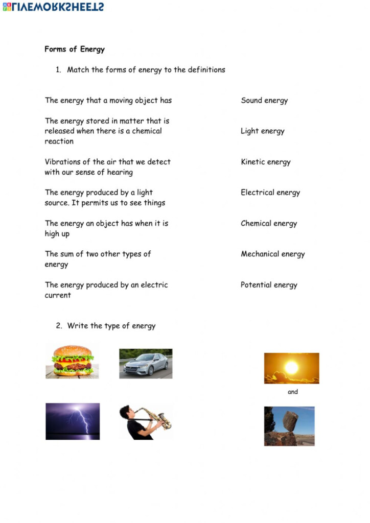 Forms Of Energy Interactive Worksheet