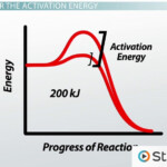 Function Of Enzymes Substrate Active Site Activation Energy