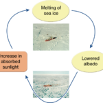 Ice albedo Feedback Process GRID Arendal