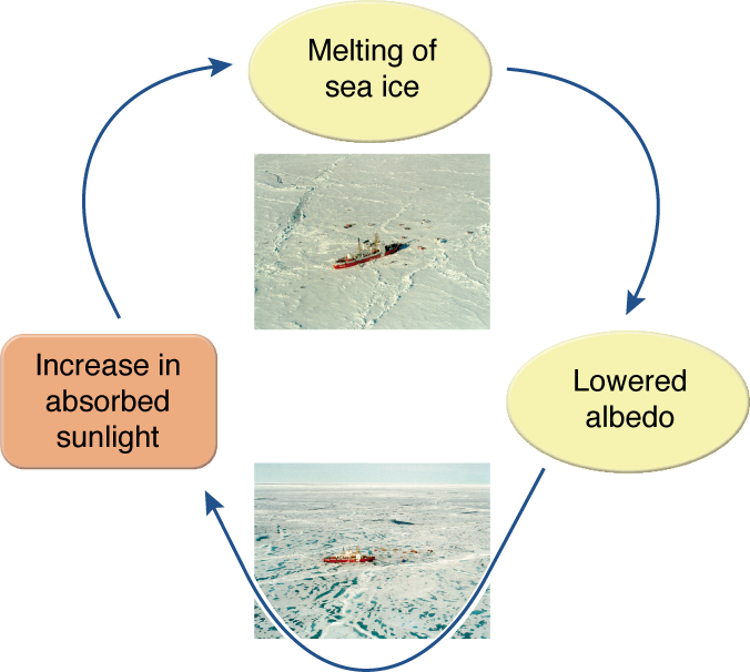 Ice albedo Feedback Process GRID Arendal