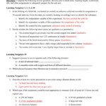 Matter And Energy Worksheet Answers Db excel