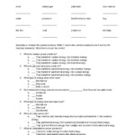 Natural Science 5th Grade ESL Energy Interactive Worksheet