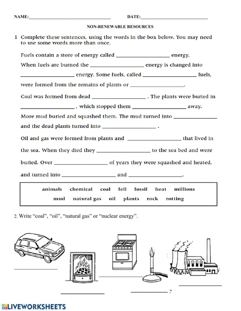 Non renewable Energy Interactive Worksheet