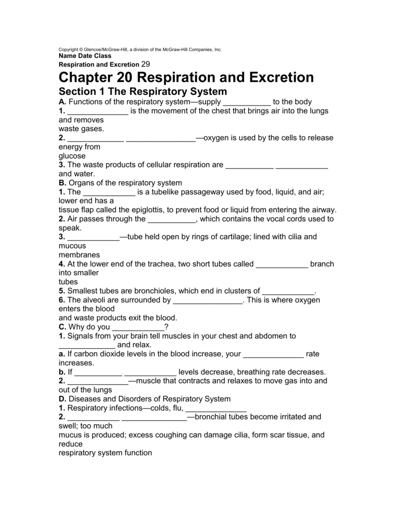 Note Taking Worksheet Energy Nidecmege