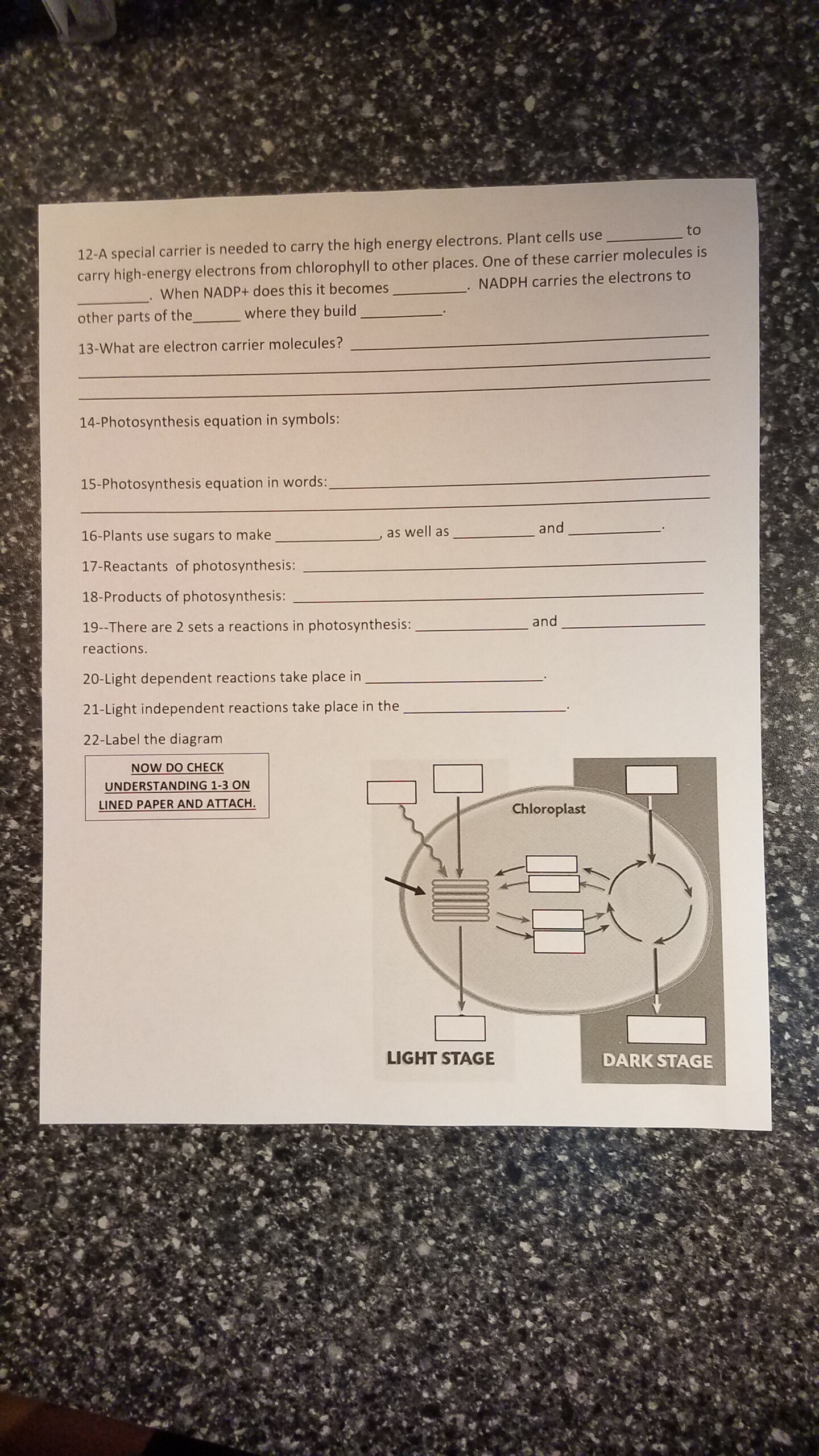 Photosynthesis Chapter 8 2 Parrot Book Worksheet