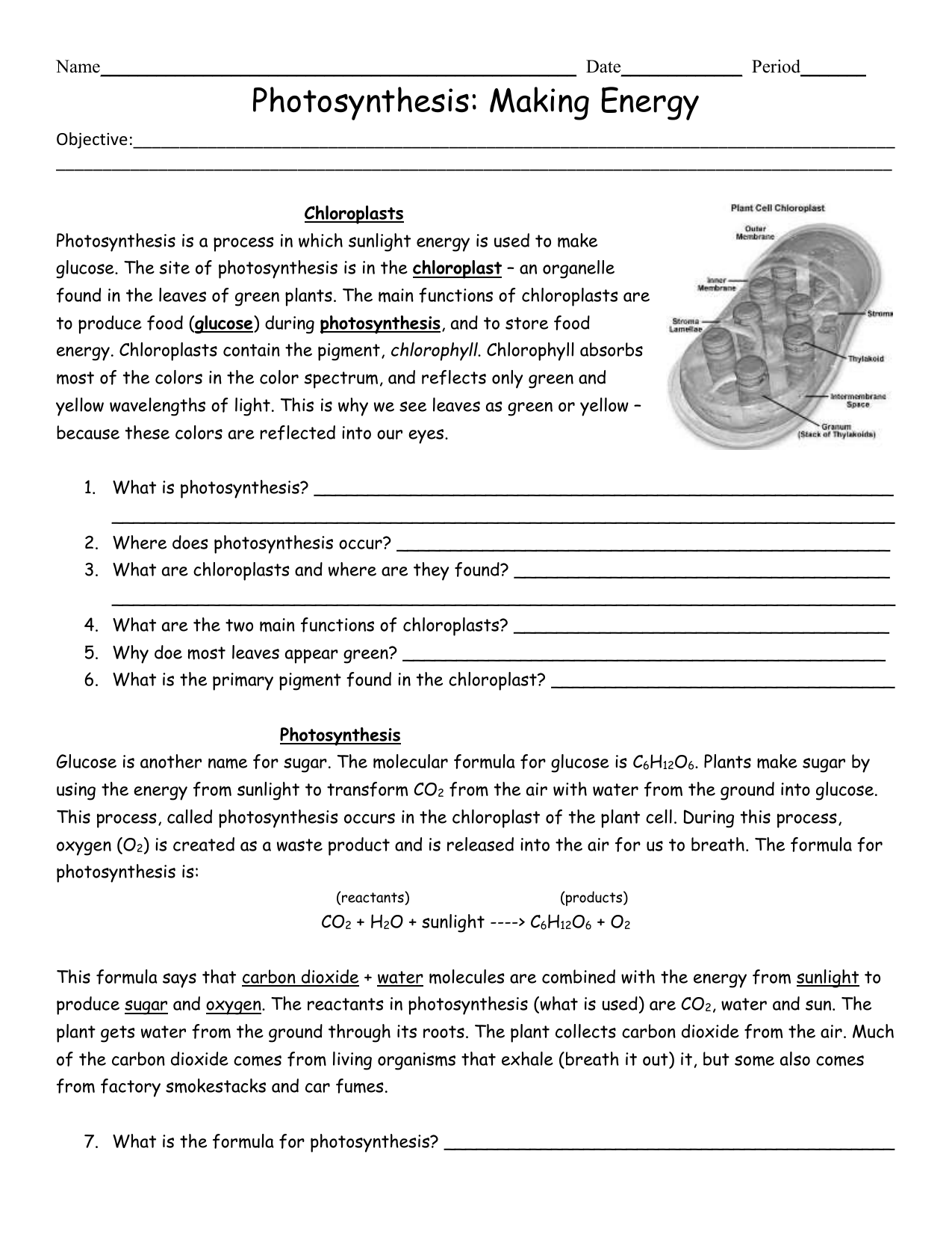 Photosynthesis Making Energy Worksheet