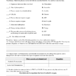 Photosynthesis Worksheet Google Search Photosynthesis Worksheet