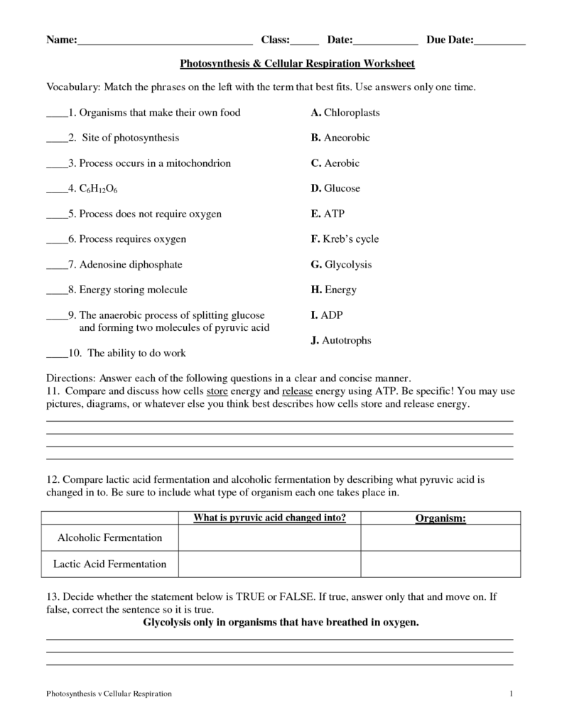 Photosynthesis Worksheet Google Search Photosynthesis Worksheet 