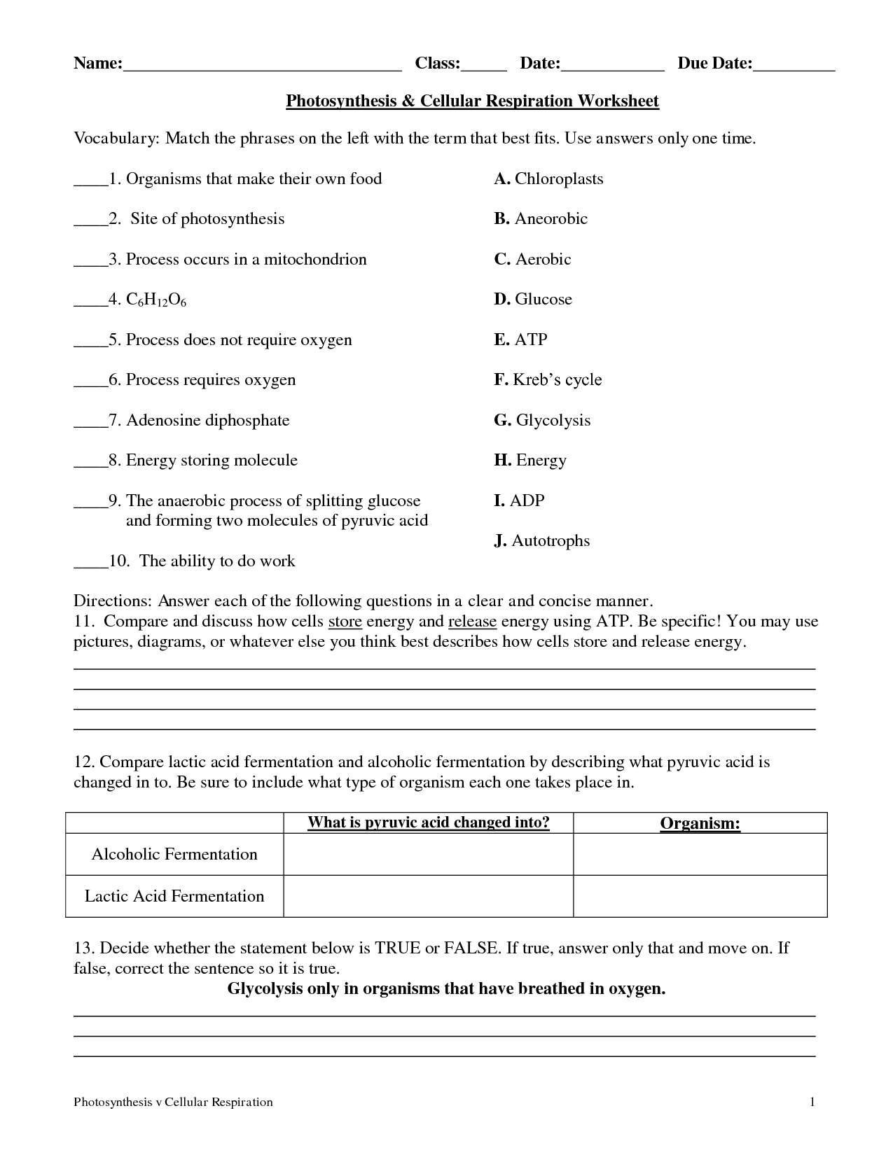 Photosynthesis Worksheet Google Search Photosynthesis Worksheet 