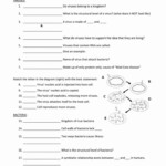 Pin On Work And Energy Worksheet