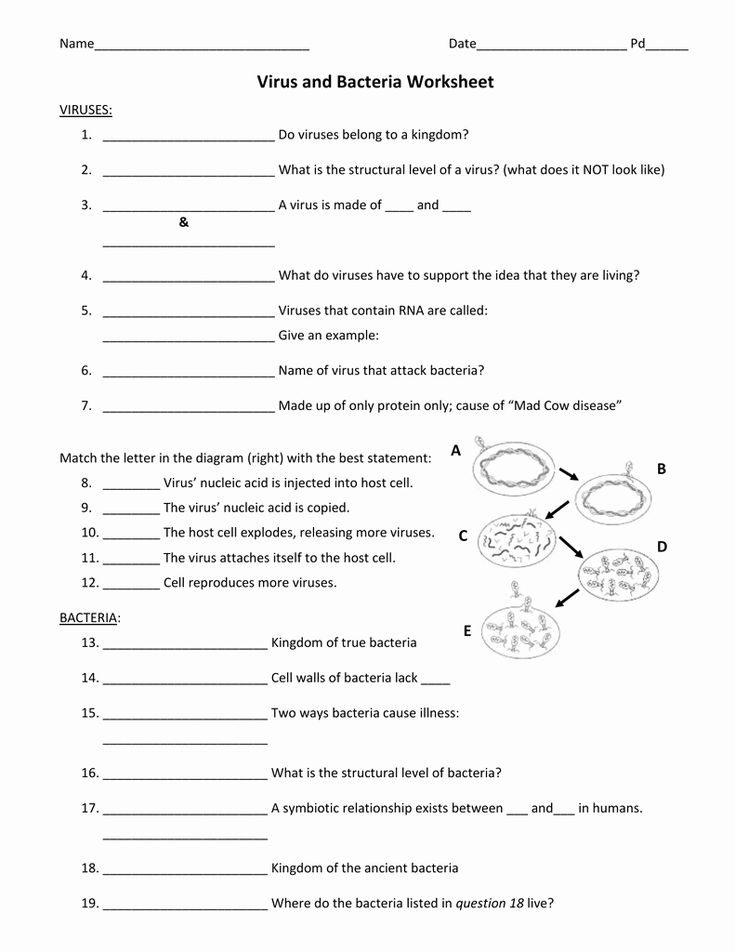 Pin On Work And Energy Worksheet