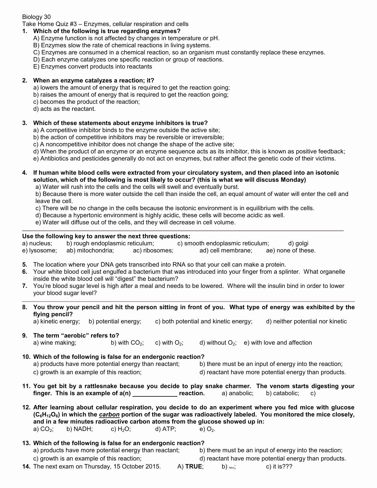 Potential And Kinetic Energy Worksheet Answer Key