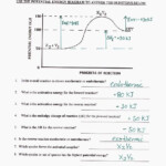 Potential Energy Diagram Worksheet Answers