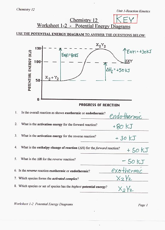 Potential Energy Diagram Worksheet Answers