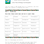 Practice Photosynthesis Concept Map Energy Flow Unit