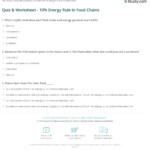 Quiz Worksheet 10 Energy Rule In Food Chains Study