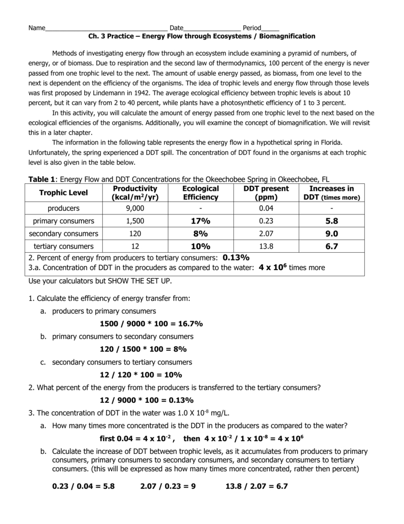 Science 10 Worksheet 3 Energy Flow In Ecosystems Answer Key Db excel
