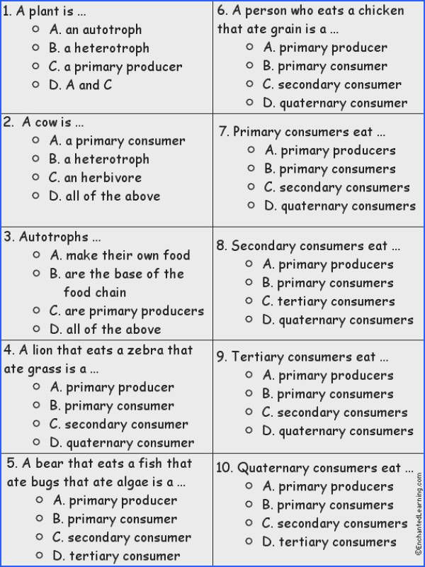 Science 10 Worksheet 3 Energy Flow In Ecosystems Answer Key