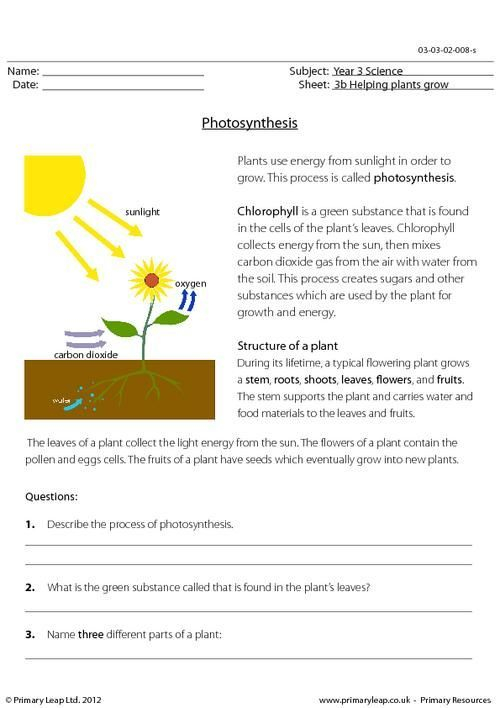 Section 8 1 Energy And Life Worksheet Answer Key Worksheet