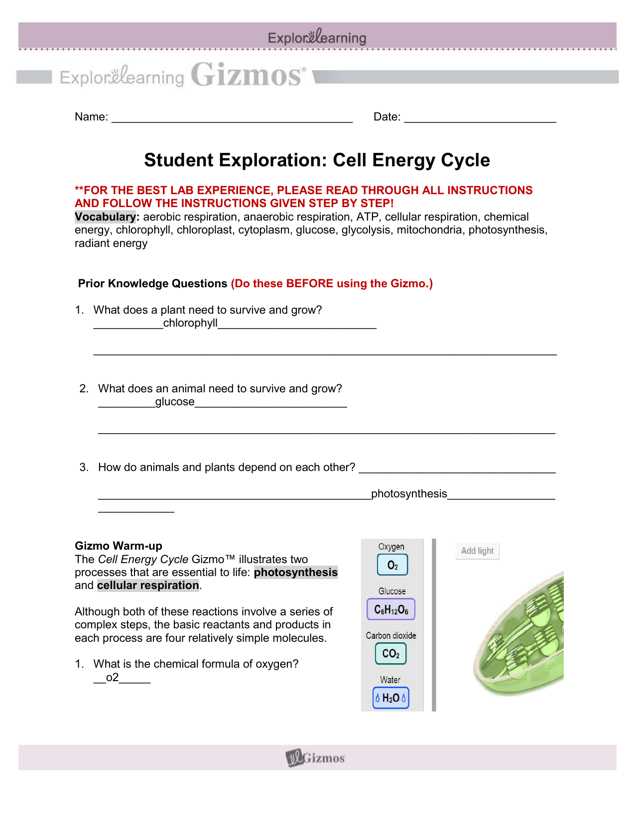 Student Exploration Half Life Gizmo Answer Key Activity B My PDF 