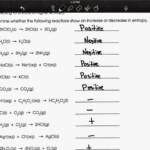 Summit Chemistry Blog Entropy Gibbs Free Energy WS