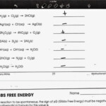 Summit Chemistry Blog Entropy Gibbs Free Energy WS