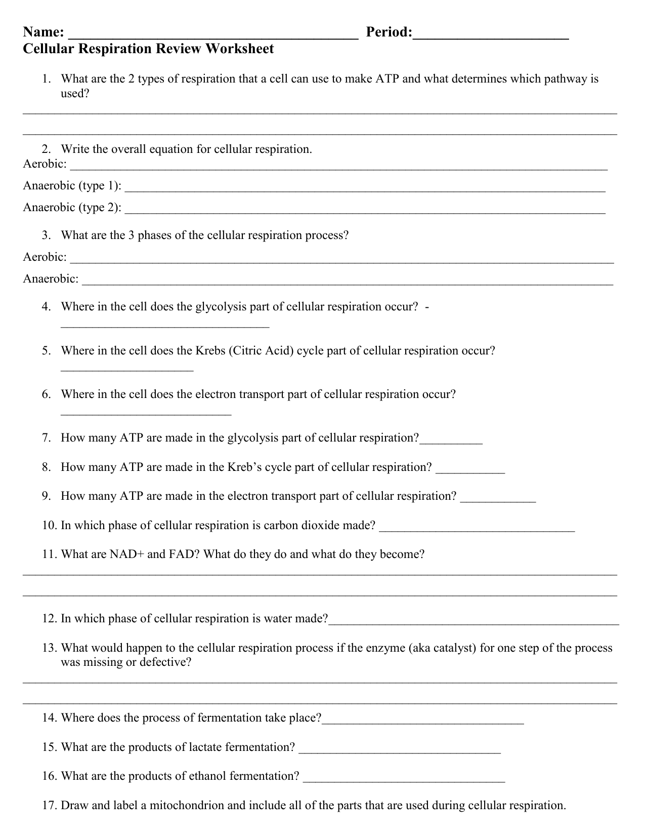 The Krebs Cycle And Electron Transport Chain Worksheet Answers