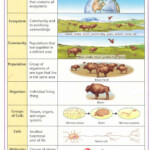 1 Biotic Community BIOLOGY4ISC