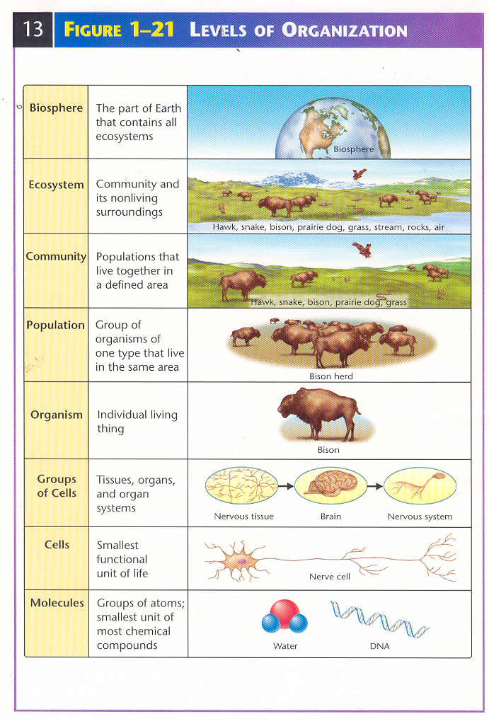 1 Biotic Community BIOLOGY4ISC