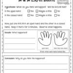 12 4Th Grade Science Forms Of Energy Worksheet 2nd Grade Worksheets