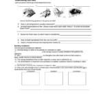 30 Heat Transfer Worksheet Answer Key Education Template