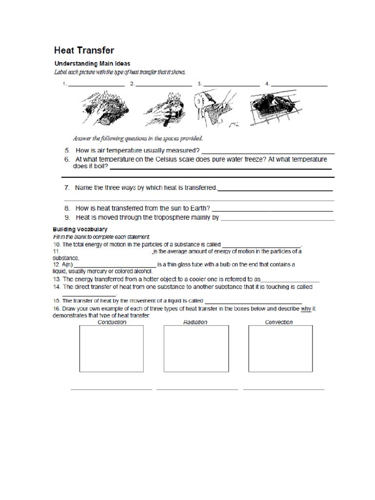 30 Heat Transfer Worksheet Answer Key Education Template