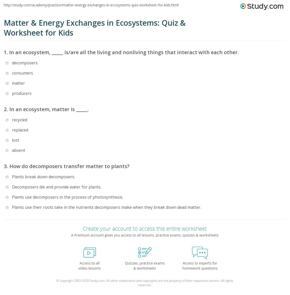 30 Matter And Energy Worksheet Education Template