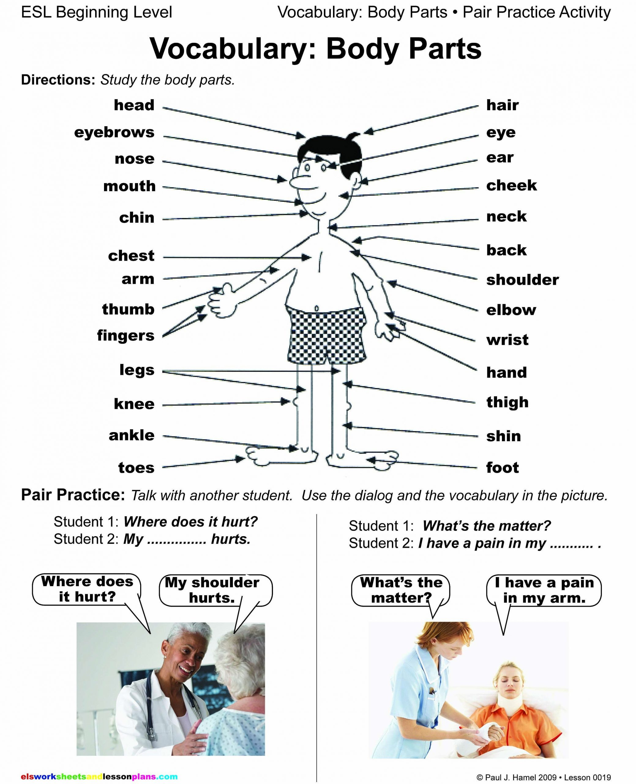 30 Spanish Body Parts Worksheet Education Template