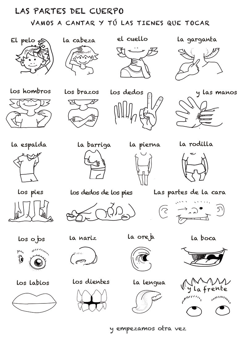 30 Spanish Body Parts Worksheet Education Template