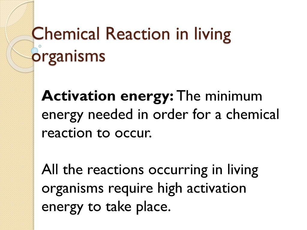 31 Chemistry Of Living Things Worksheet Answers Worksheet Database 