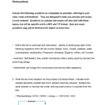 33 Chapter 10 Energy In A Cell Worksheet Answers Worksheet Source 2021