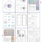 36 Cell Processes And Energy Worksheet Answers Support Worksheet