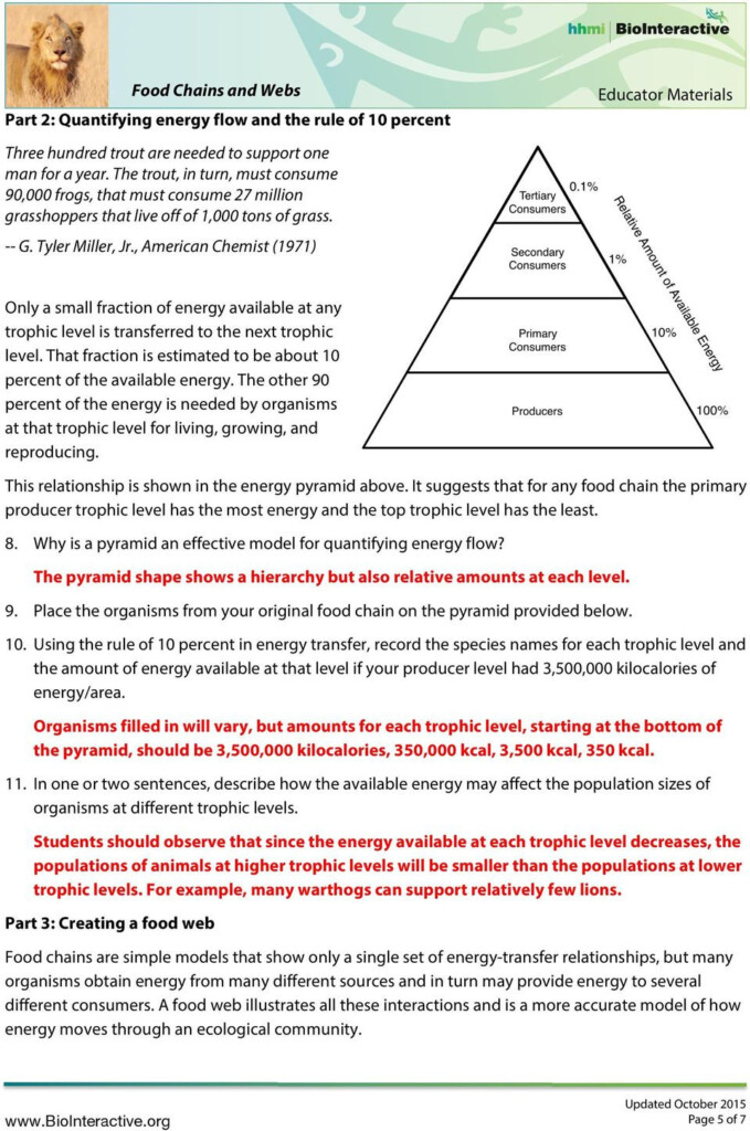 40 Ecological Pyramids Worksheet Answer Key Worksheet Information