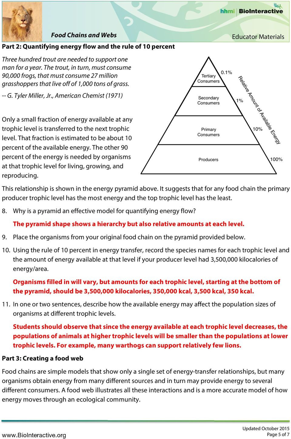 40 Ecological Pyramids Worksheet Answer Key Worksheet Information