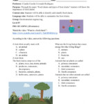 41 Build A Food Web Activity Answers Search Lesson Plans